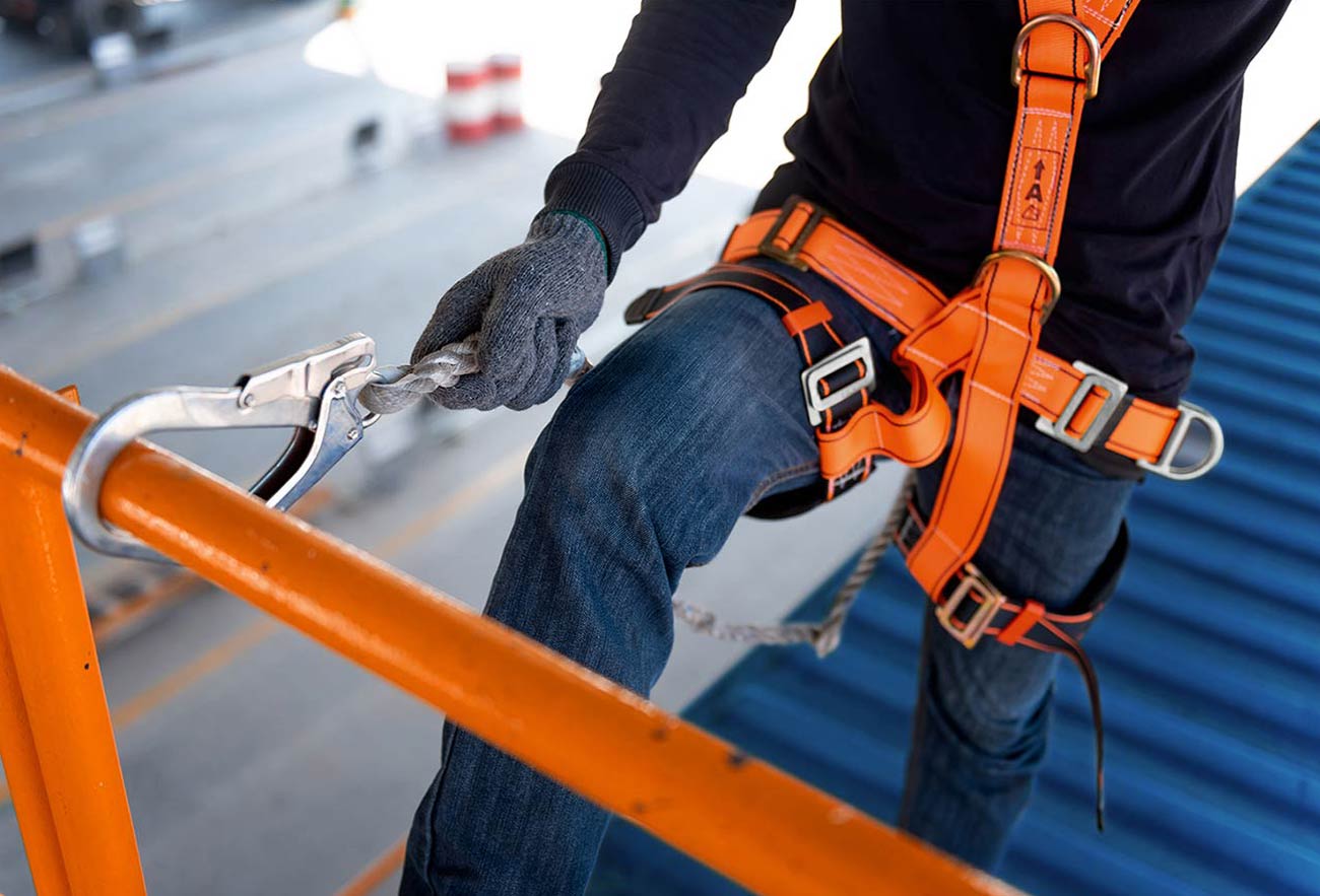 Vestibulum luctus sollici nisi sed fermentum quis